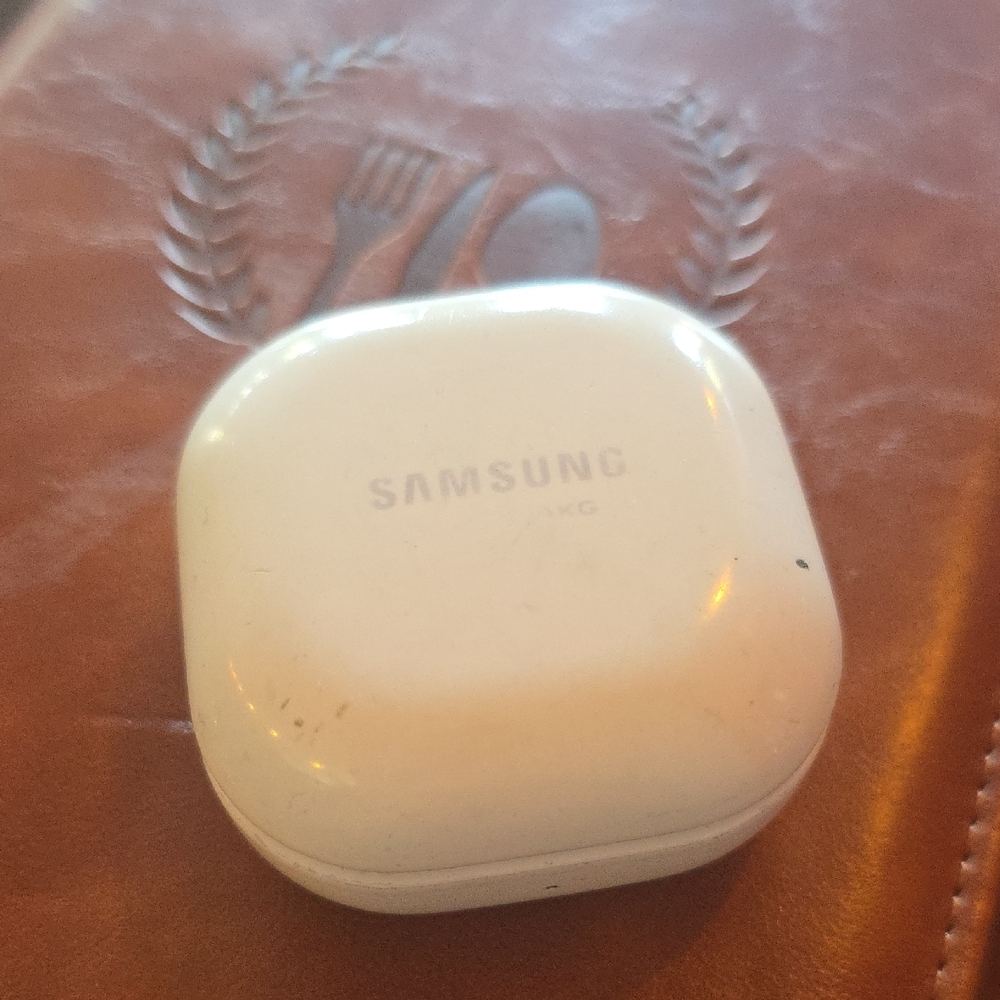 Samsung White Wireless Earbuds Case